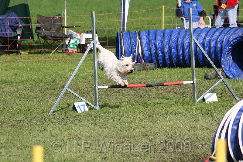 jubil.lusten. 177.jpg